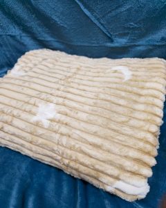 بهترین پتو مسافرتی ارزان و مقرون به صرفه